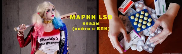 спайс Баксан