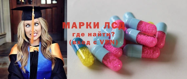 шишки Белоозёрский