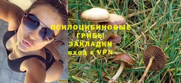 спайс Баксан