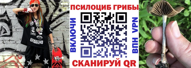 Галлюциногенные грибы Psilocybe  где купить наркоту  Барабинск 