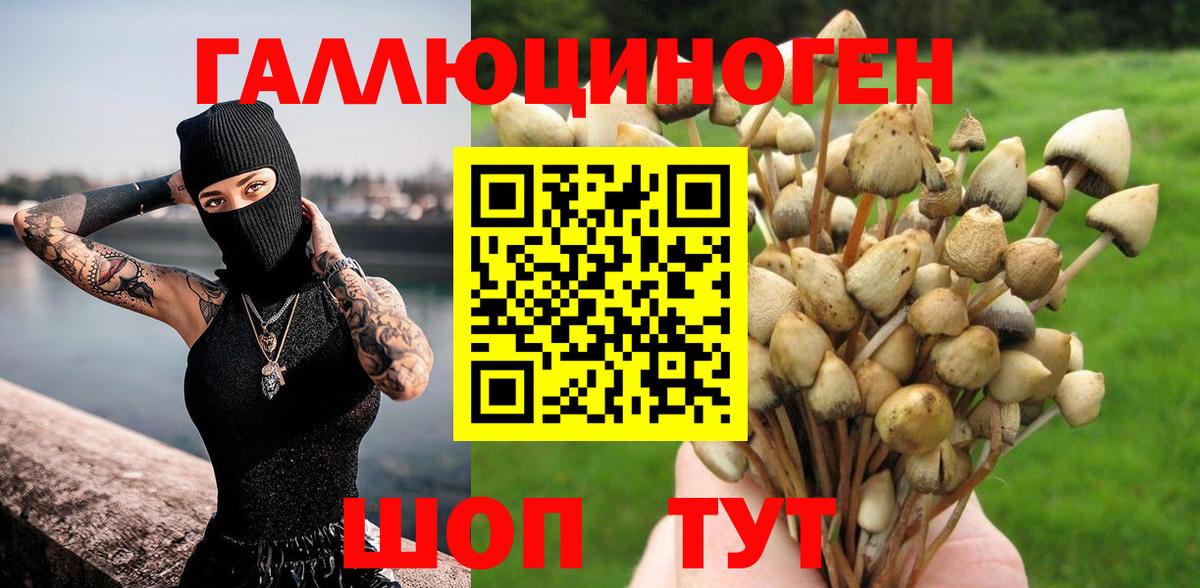 Барабинск  Галлюциногенные грибы Magic Shrooms  Вход с VPN 